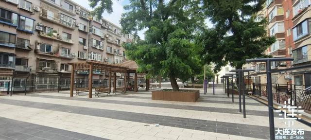 市民出行要300米见绿、500米见园！大连又一批口袋公园亮相