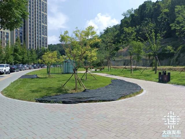 市民出行要300米见绿、500米见园！大连又一批口袋公园亮相