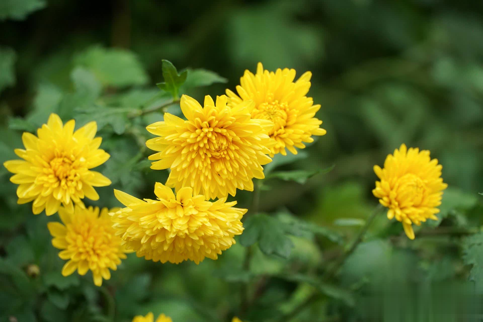 真正内心强大的人，都懂得降低期待，减少依赖，靠自己