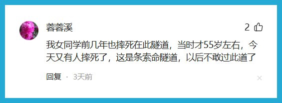 上海阿姨骑车摔倒,伤势过重死亡!40米有14条,减速带夺命?网友吵翻