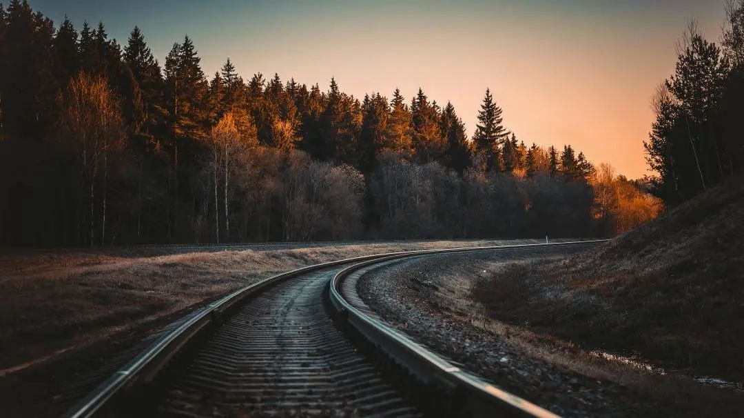 真正的人生,从知道自己想要什么开始