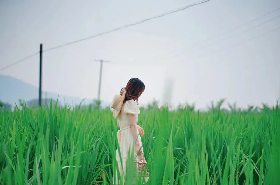 凡是磨你的，都是来渡你的