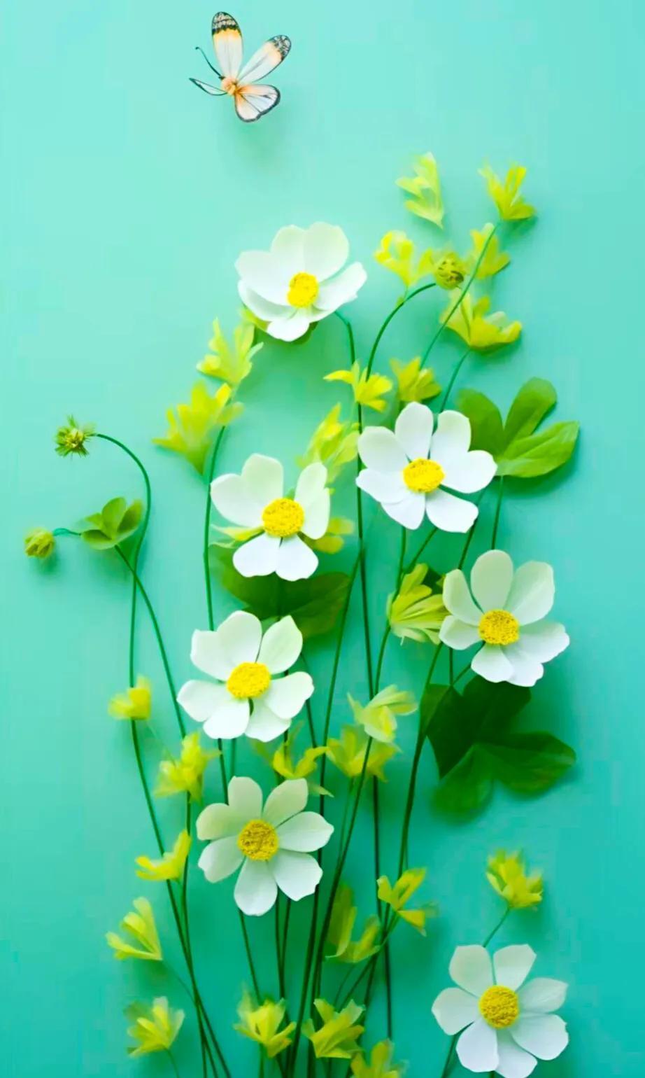 守嘴守心，远离是非，少管闲事，做更好的自己