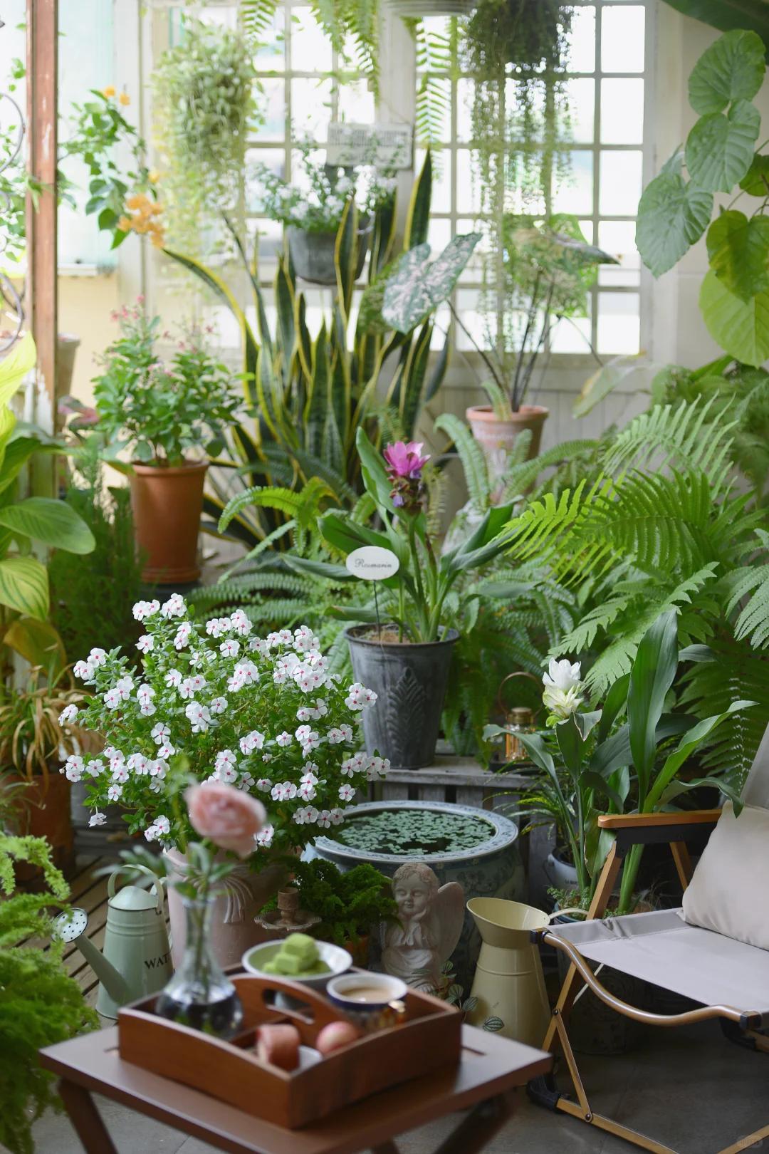 当所有人都在路上,我选择在阳台停下!