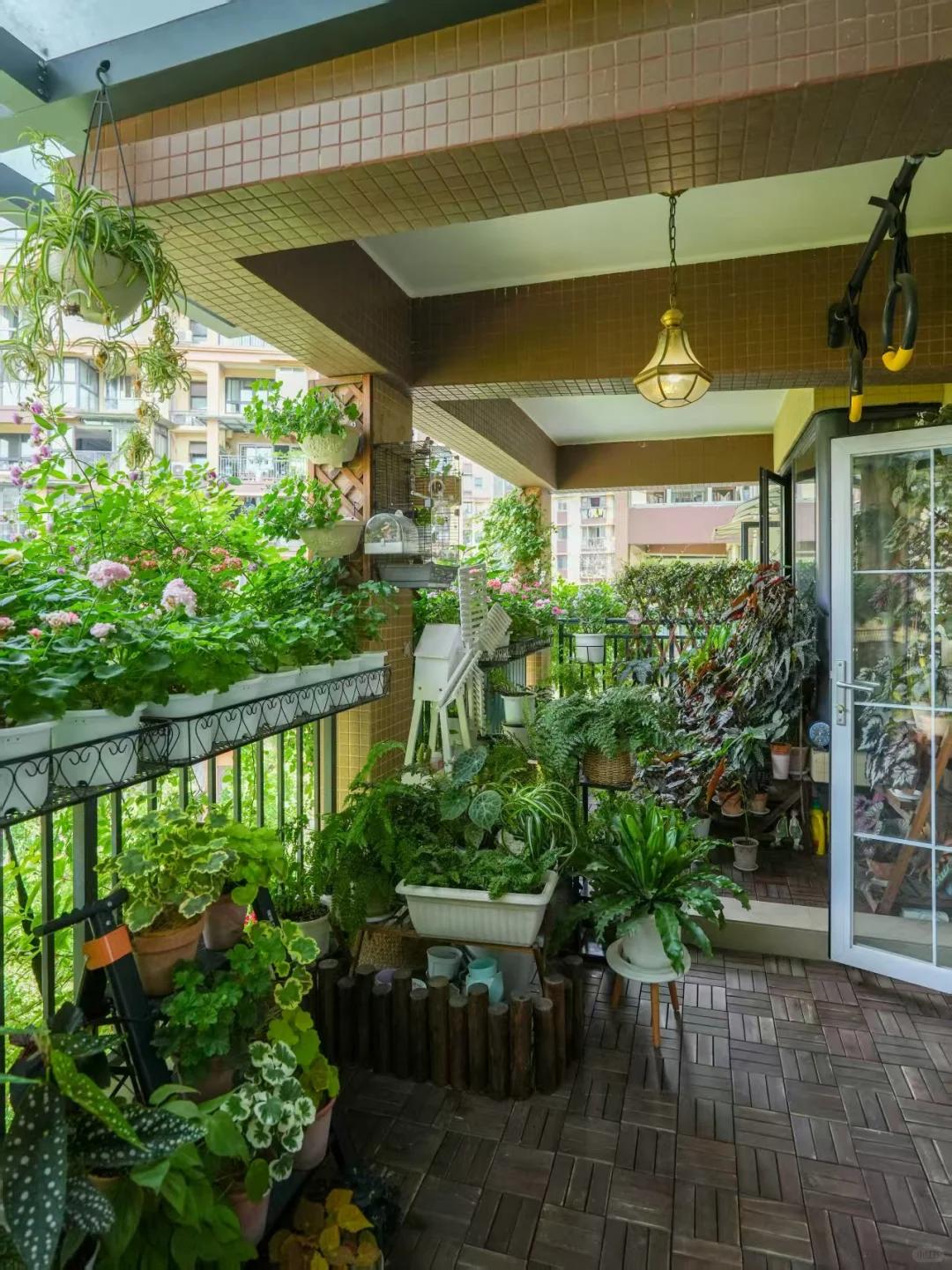 当所有人都在路上,我选择在阳台停下!