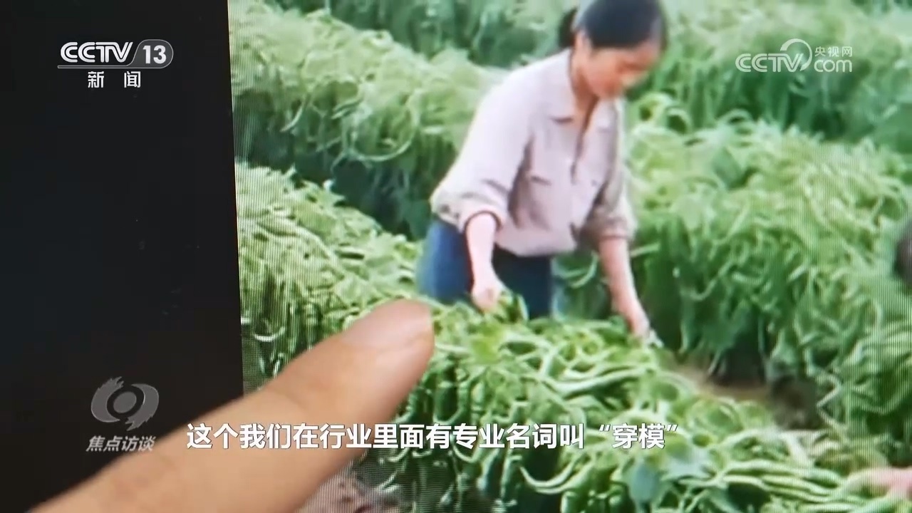 真假难辨 警惕AI带货“李鬼”！