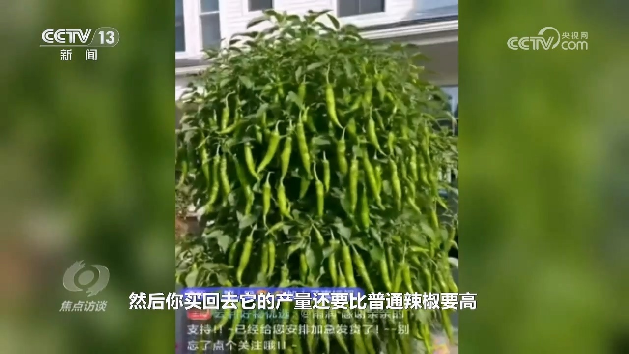 真假难辨 警惕AI带货“李鬼”！