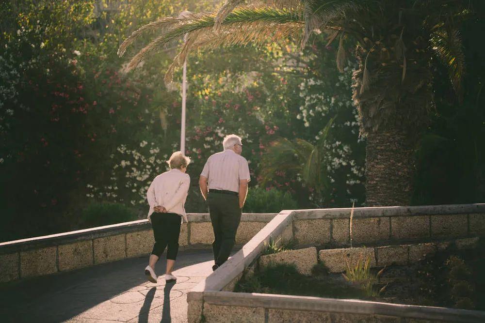 提前退休的真相：理想与现实的博弈