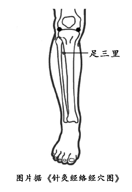 从HPV感染到宫颈癌只有5步？清除病毒，身体这种“能力”很关键！